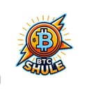 BTC Shule Logo